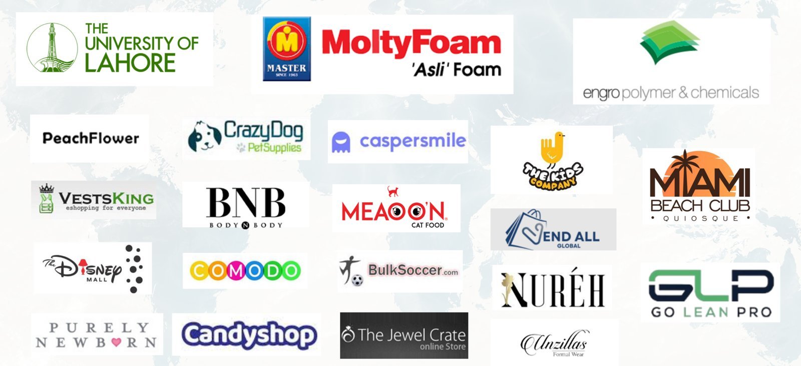 Brands that have worked with EcomXpert, including MoltyFoam, The University of Lahore and Engro